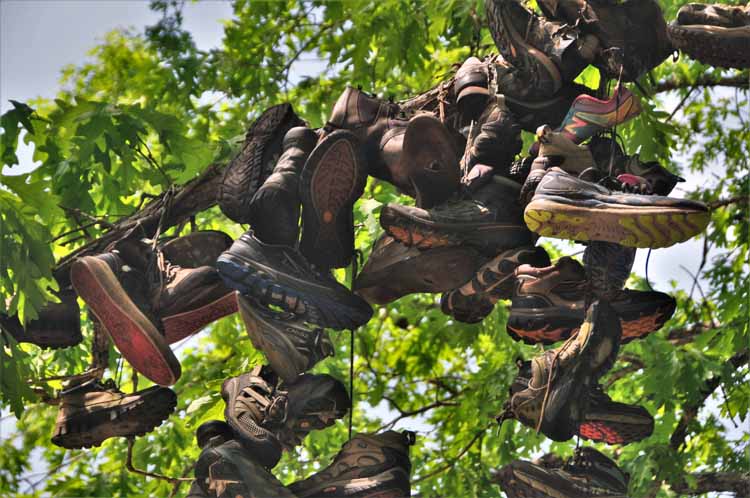Appalachian Trail, shoe tree